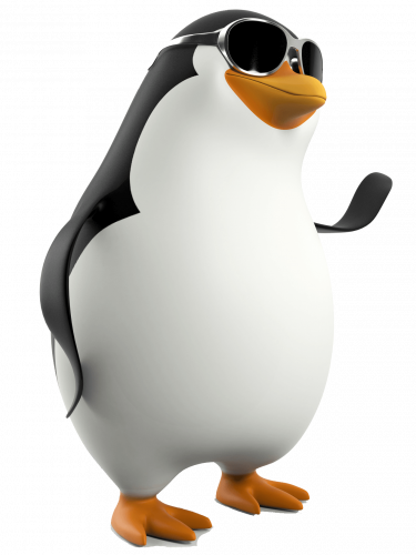 penguin with goggles